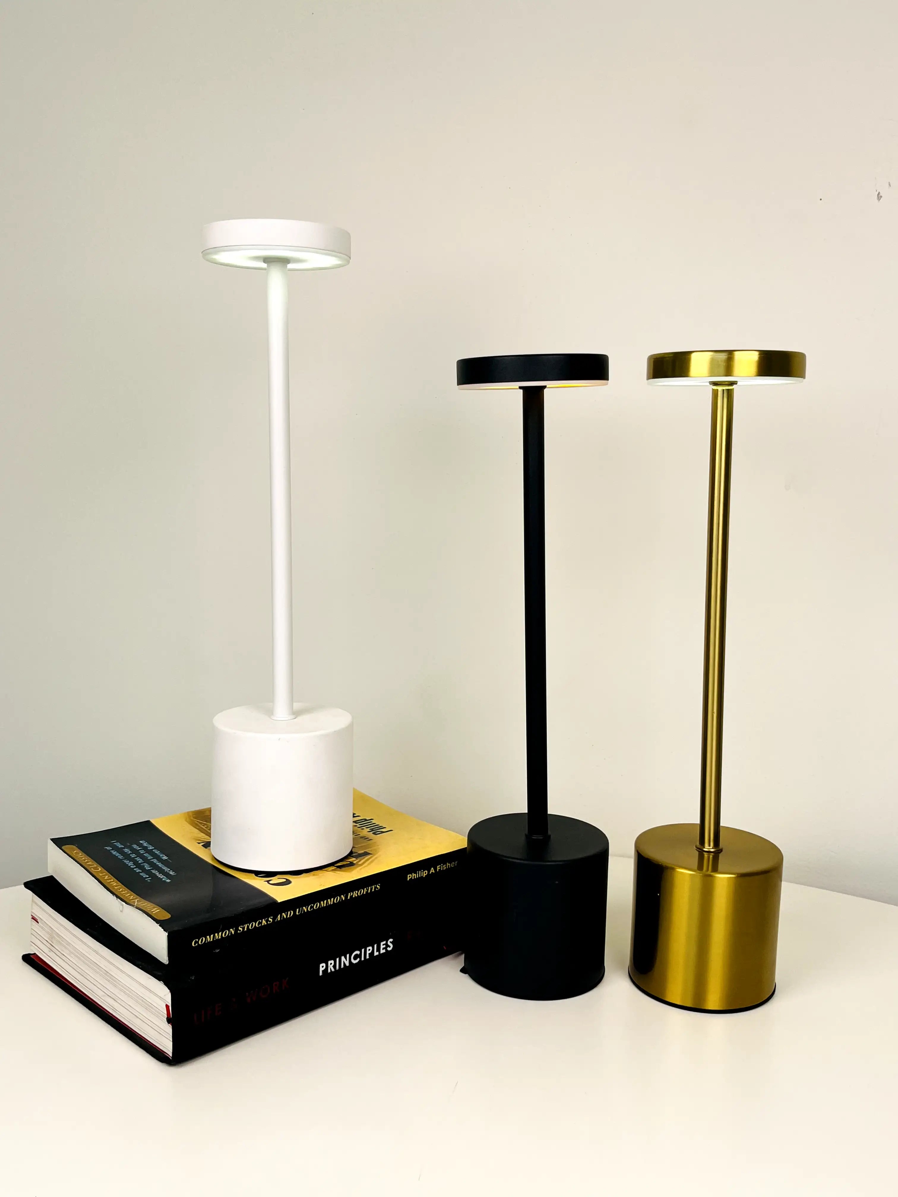 Modern Long Neck Rechargeable LED Table Lamp