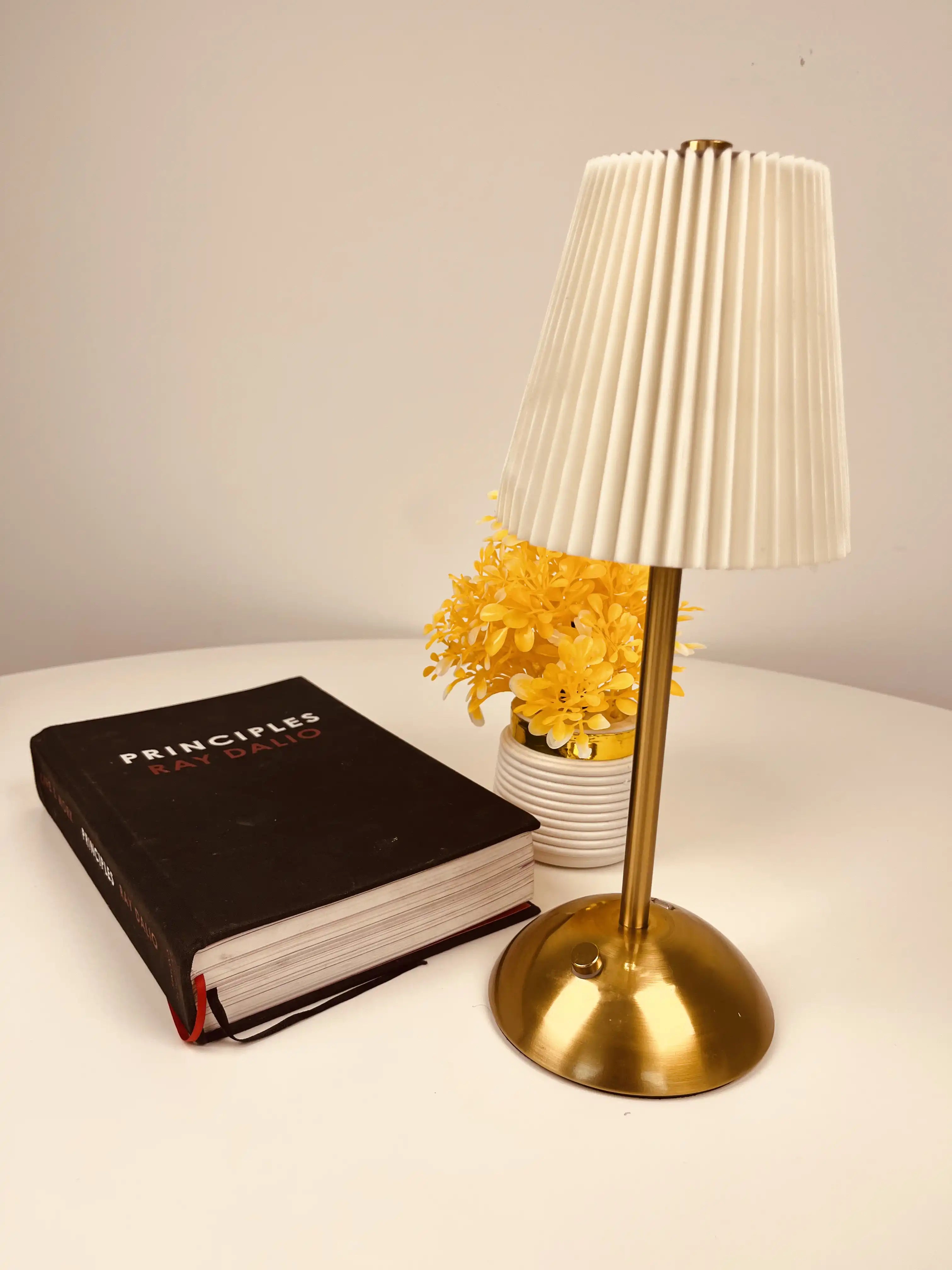 Zoha Pleated Grace Cordless LED Desk Lamp